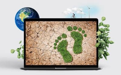 MAPFRE AM measures the carbon footprint of investment portfolios